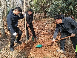民革淮南市委会组织党员开展植树活动2.jpg