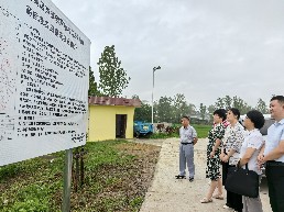 民革淮南市委会调研“高标准农田建设”2.jpg